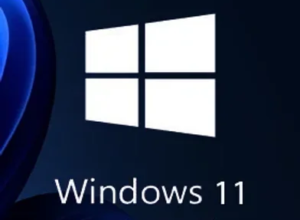Windows 11 Professional Key