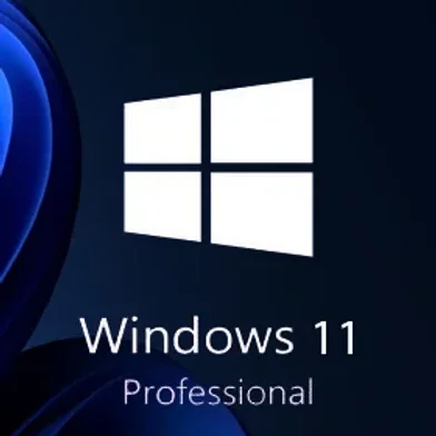 Windows 11 Professional Key