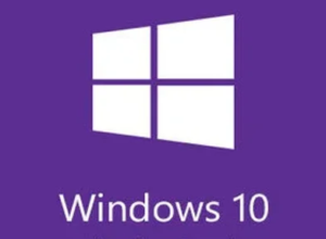 Windows 10 Professional Retail Key